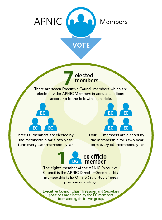 How is the EC Structured?